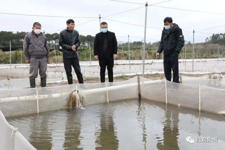 陕北农村养殖业补贴政策_陕北养殖场_陕北农村养殖致富