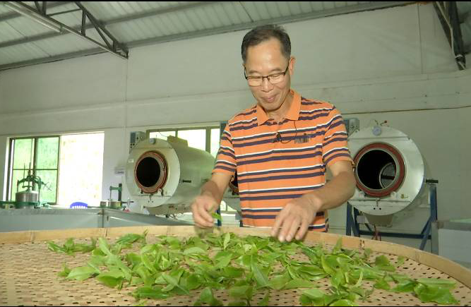 致富带头人种植典型事迹材料_农村致富带头人范文种植业_村支书带头种植致富