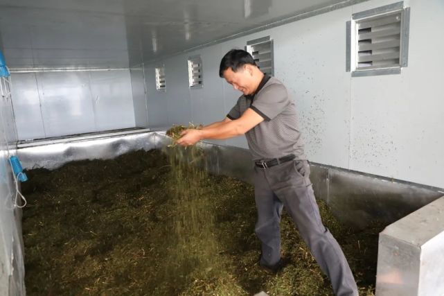 致富核桃种植技术视频_核桃种植致富技术_致富核桃种植技术与管理