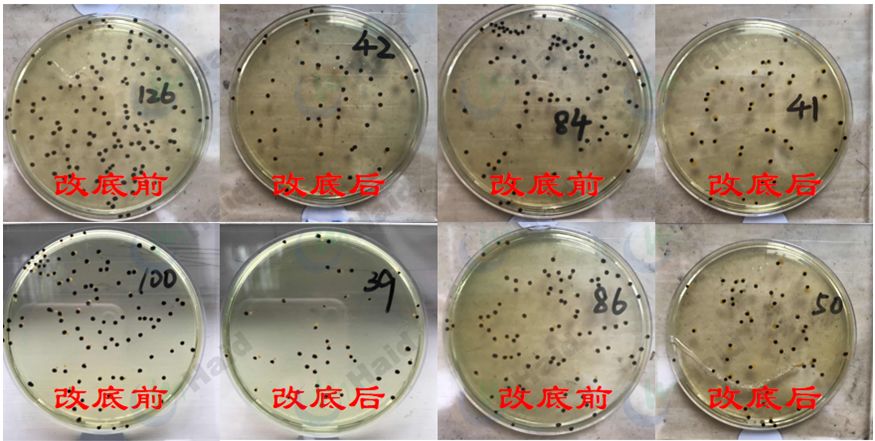 鳊鱼养殖技术视频_鲮鱼养殖技术视频_鳡鱼养殖技术视频