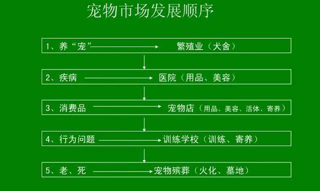 培训养殖蜈蚣技术方案_培训养殖蜈蚣技术有哪些_蜈蚣养殖技术培训