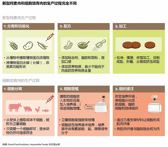 大麦虫养殖技术_大麦虫养殖技术与利润_养殖大麦虫效益如何