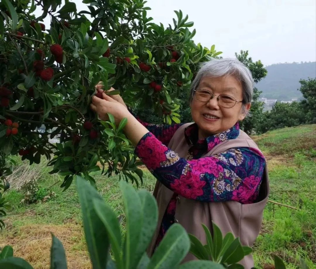 培训养殖蜈蚣技术视频_培训养殖蜈蚣技术有哪些_蜈蚣养殖技术培训