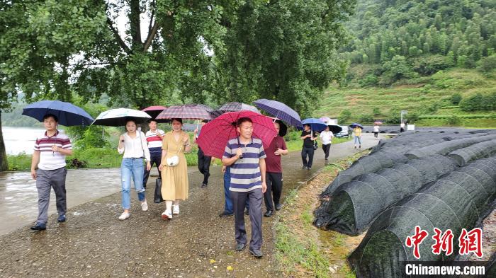 杭州民盟盟员姜玲：甘做减贫路上的“铺路石”