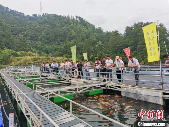 姜玲带队考察千岛湖保水渔业 通讯员供图 摄