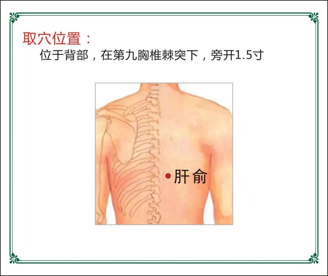 培训养殖蜈蚣技术有哪些_蜈蚣养殖技术培训_培训养殖蜈蚣技术视频