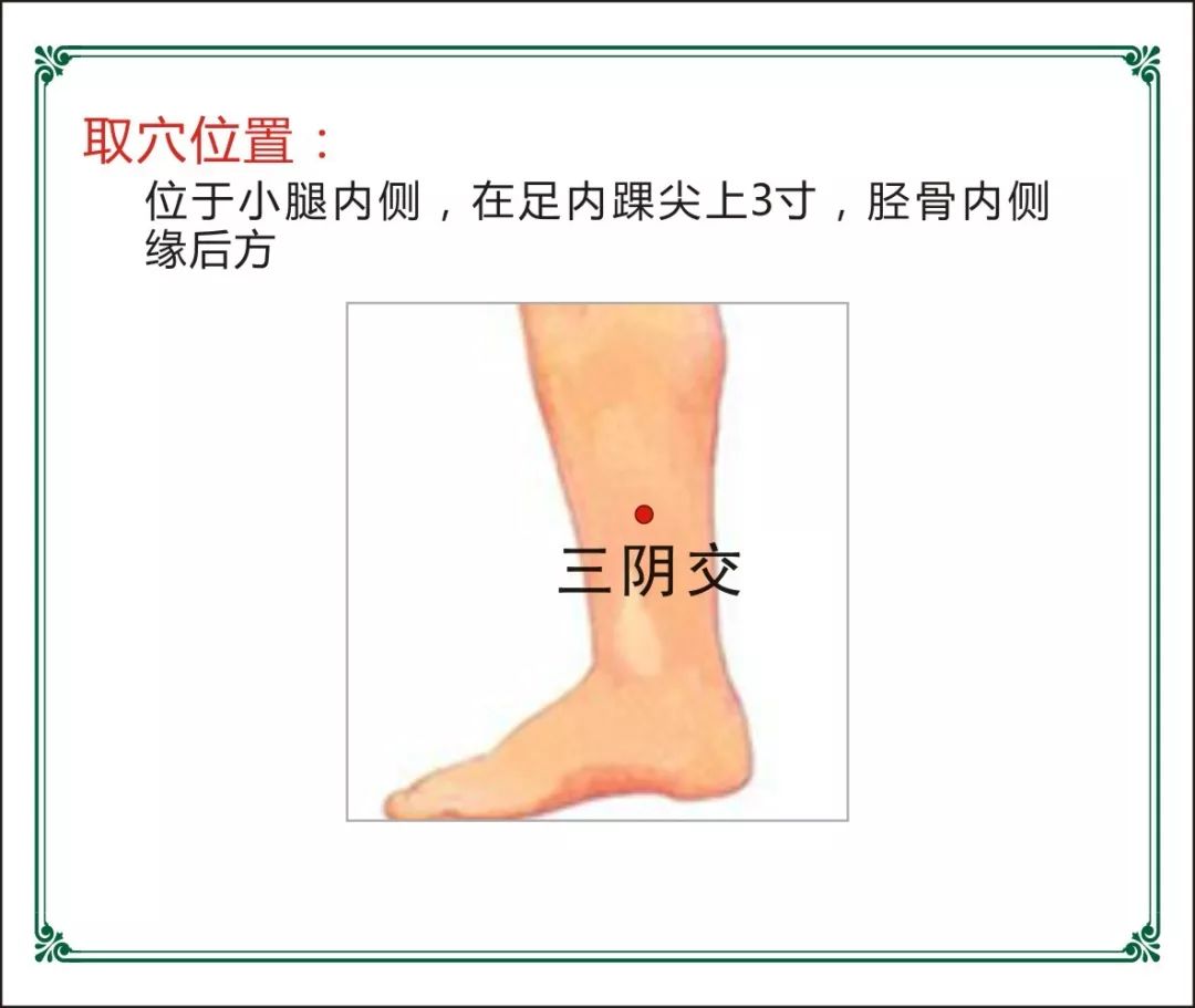 培训养殖蜈蚣技术视频_蜈蚣养殖技术培训_培训养殖蜈蚣技术有哪些