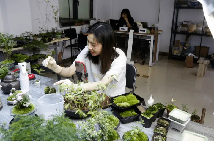 致富种植杨梅图片_致富种植杨梅怎么样_种植杨梅致富