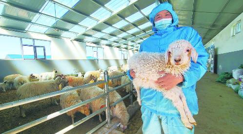 拓宽致富养殖牧民路的措施_养殖拓宽牧民致富路_拓宽致富养殖牧民路的意义