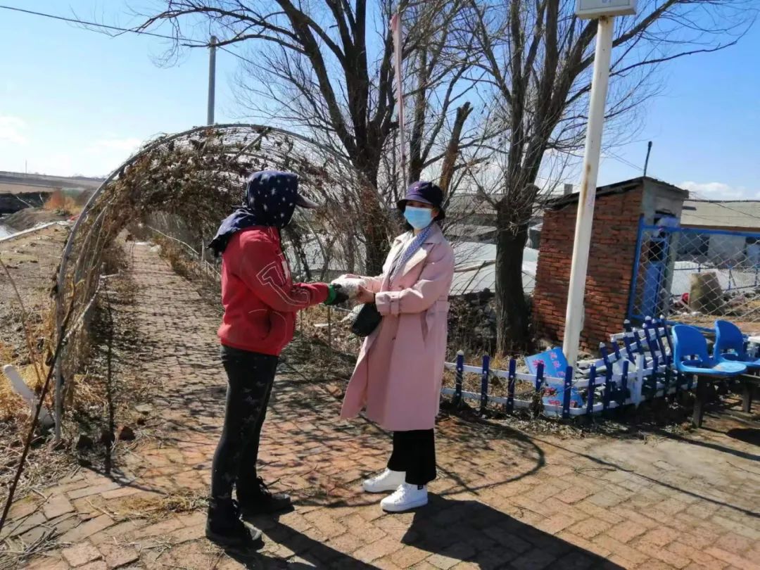 致富种植菜农村图片大全_农民致富种植项目_农村致富菜种植