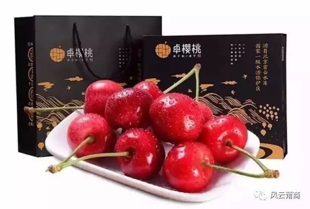 致富经倾家荡产_致富chief_致富全书