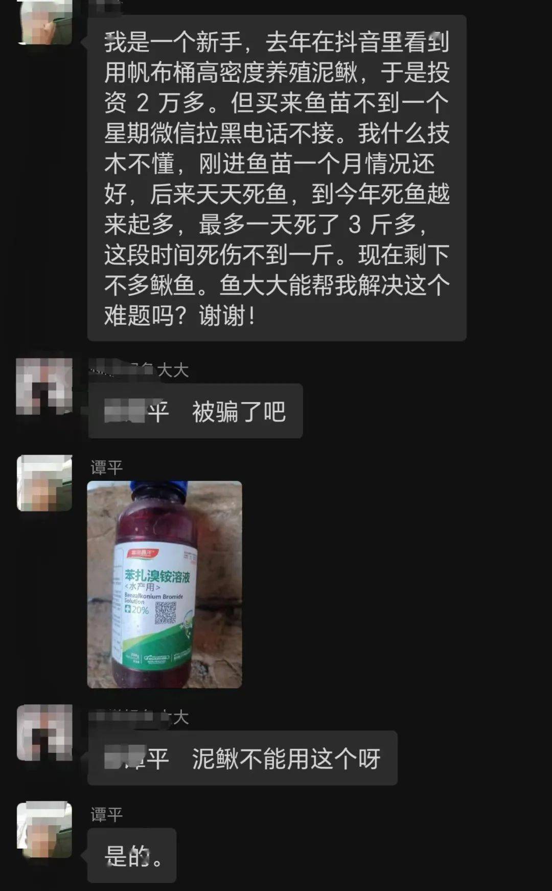 我是一个新手！花了2万多投资帆布池高密度养殖台湾泥鳅，现在天天死鱼怎么办？