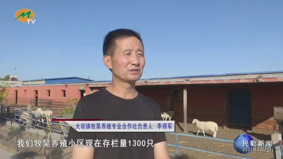 肉牛养殖增收致富_肉牛养殖致富经_养殖肉食牛的利润