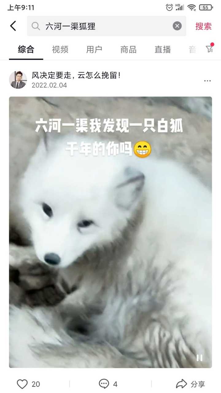 狐狸好养吗？