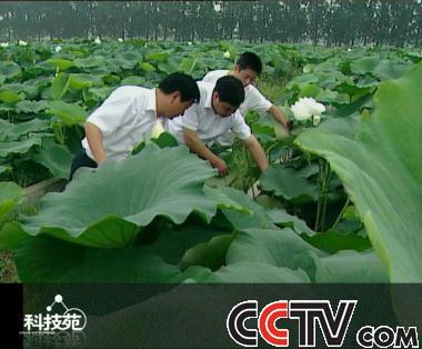 cctv7致富致富经频道_cctv17节目表致富经_cctv7致富经节目表