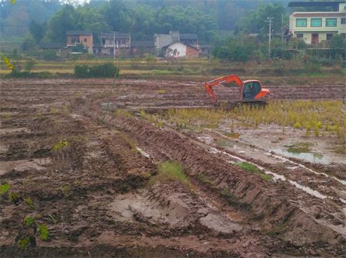 致富经青蛙养殖大户电话号_致富经青蛙养殖大户电话号_致富经青蛙养殖大户电话号