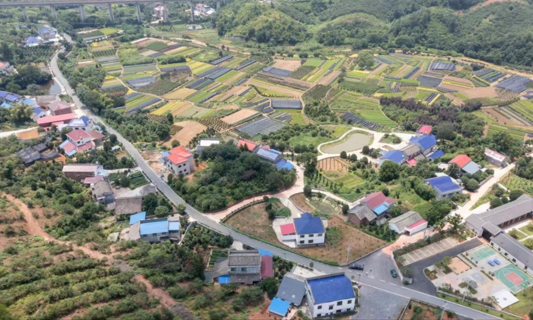 西瓜种植铺就致富路_致富经西瓜种植全视频_致富经西瓜太甜