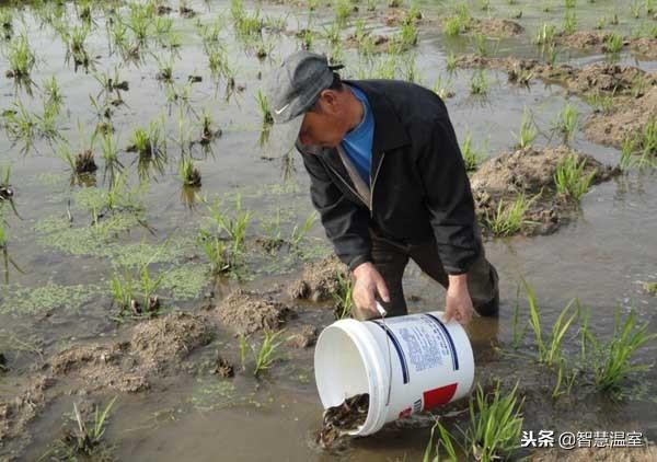 养殖致富项目_致富养殖项目大全_致富养殖项目农村