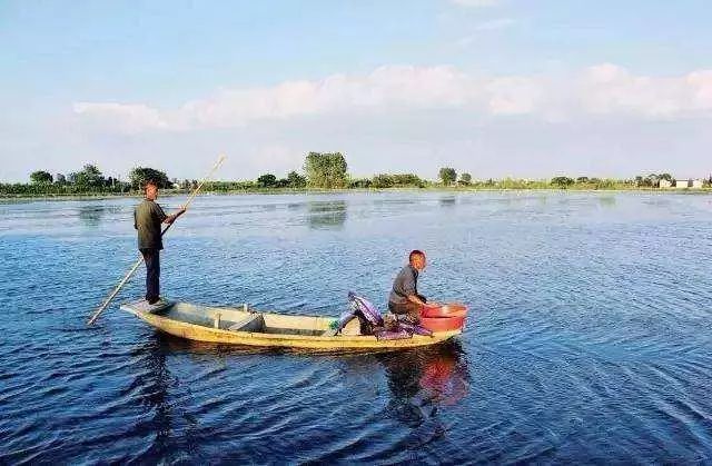 致富养殖河蟹图片_养殖河蟹的利润_河蟹养殖致富