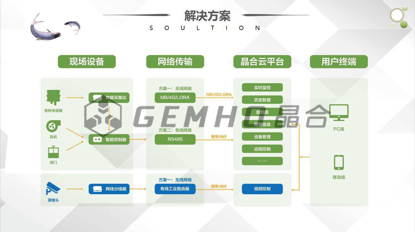 养殖蛇技术视频_蛇养殖场视频_视频养殖蛇技术大全