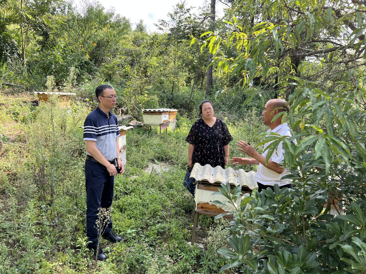 致富经养殖蜜蜂_蜜蜂养殖项目_蜜蜂致富养殖视频