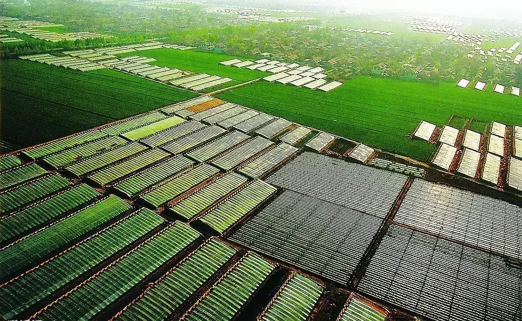 「关注」从贾思勰到七代大棚技术，寿光托起中国人的“菜篮子”