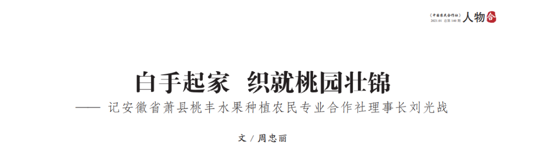 白手起家 织就桃园壮锦—— 记安徽省萧县桃丰水果种植农民专业合作社理事长刘光战