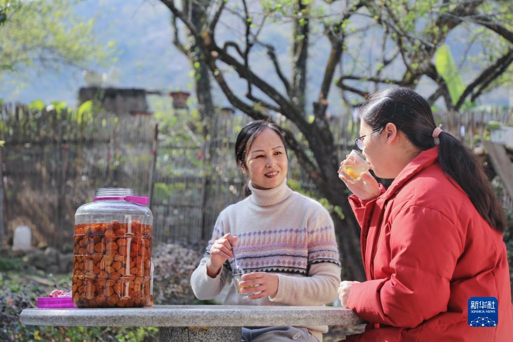 奔向“梅”好的“赏花经济”