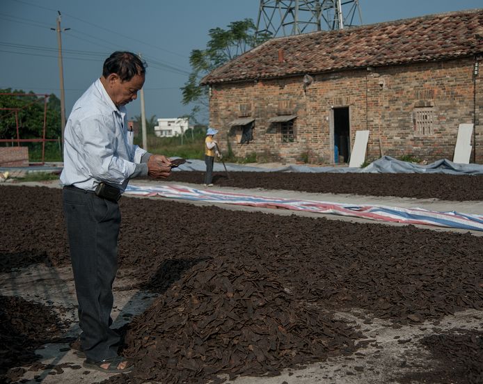 何首乌种植效益_致富种植何首乌视频_种植何首乌致富