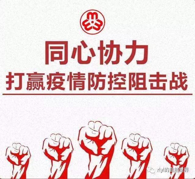 养殖人工蛇技术视频_人工养殖蛇技术_人工养殖的蛇