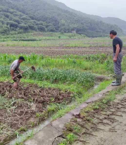 农民致富种植项目_耕种种植致富_种植业致富