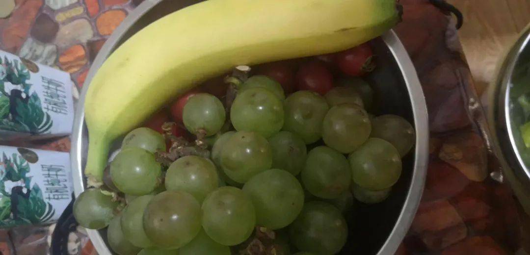 黄缘闭壳龟饲养技术_黄缘闭壳养殖技术_黄缘闭壳