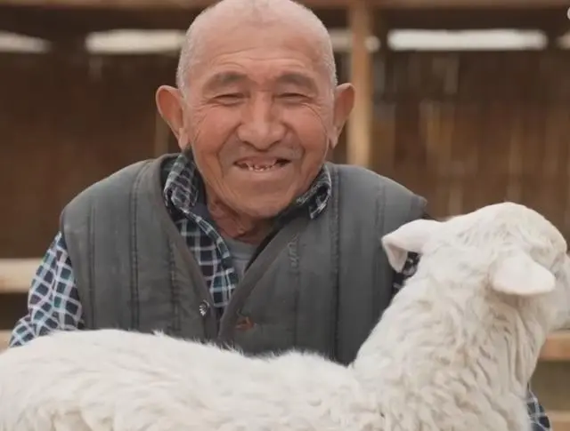 澳湖羊特点_养殖澳湖羊致富_澳湖羊的生产性