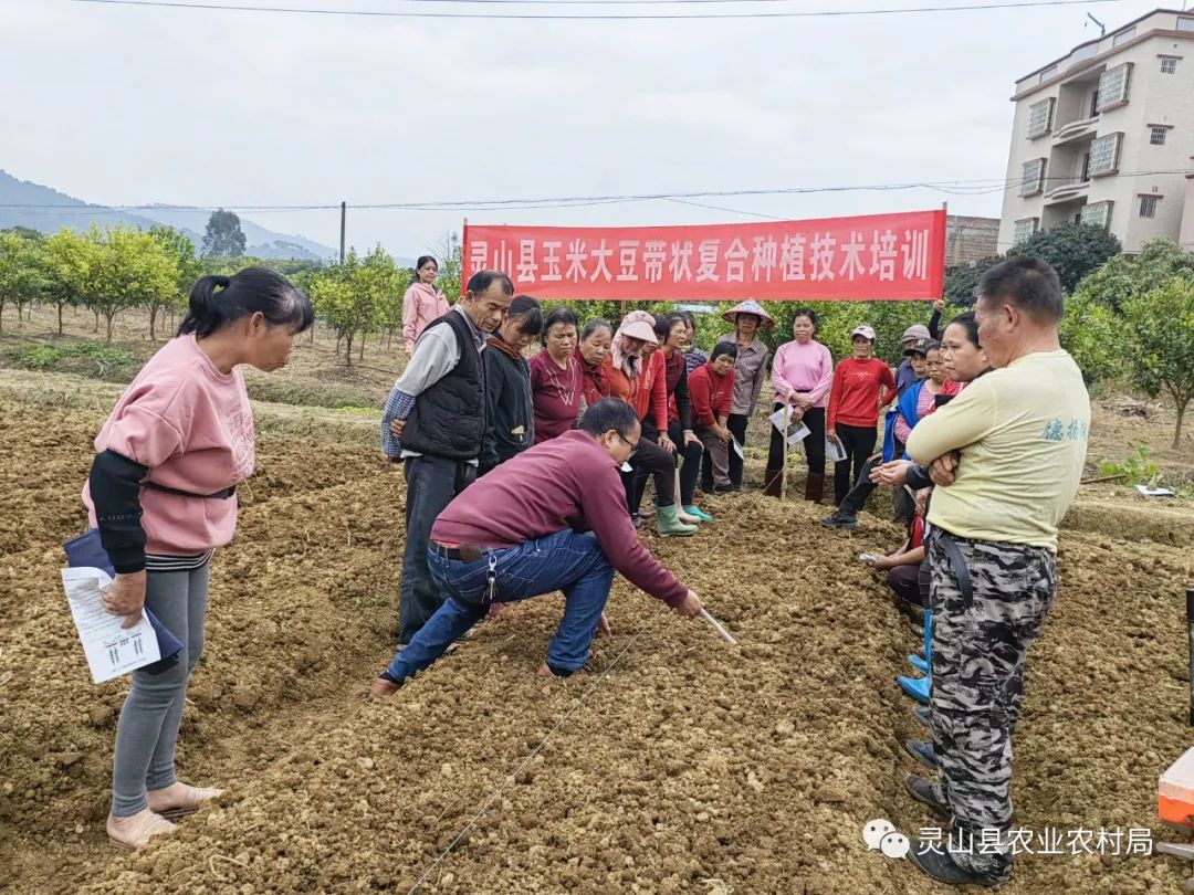 养殖理鱼技术培训_养殖鲤鱼技术指导方案_养殖鲤鱼技术