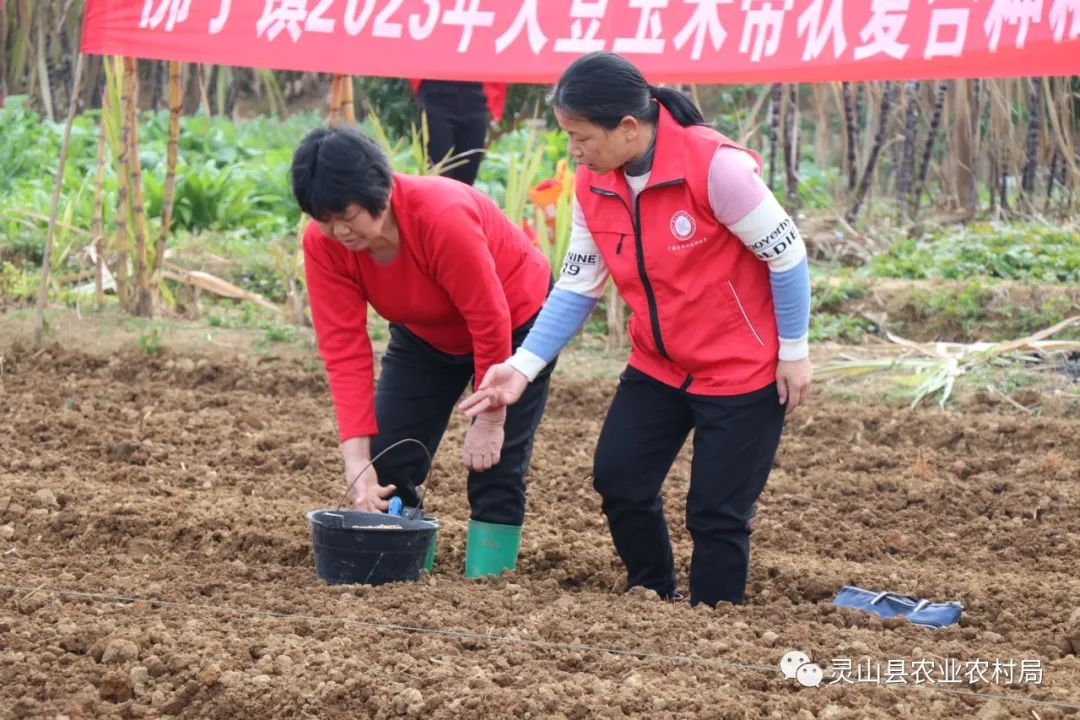 养殖鲤鱼技术_养殖鲤鱼技术指导方案_养殖理鱼技术培训