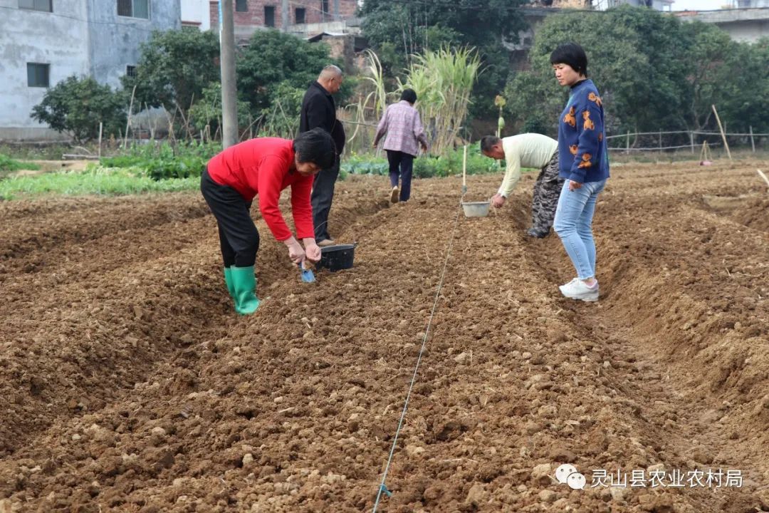 养殖理鱼技术培训_养殖鲤鱼技术指导方案_养殖鲤鱼技术