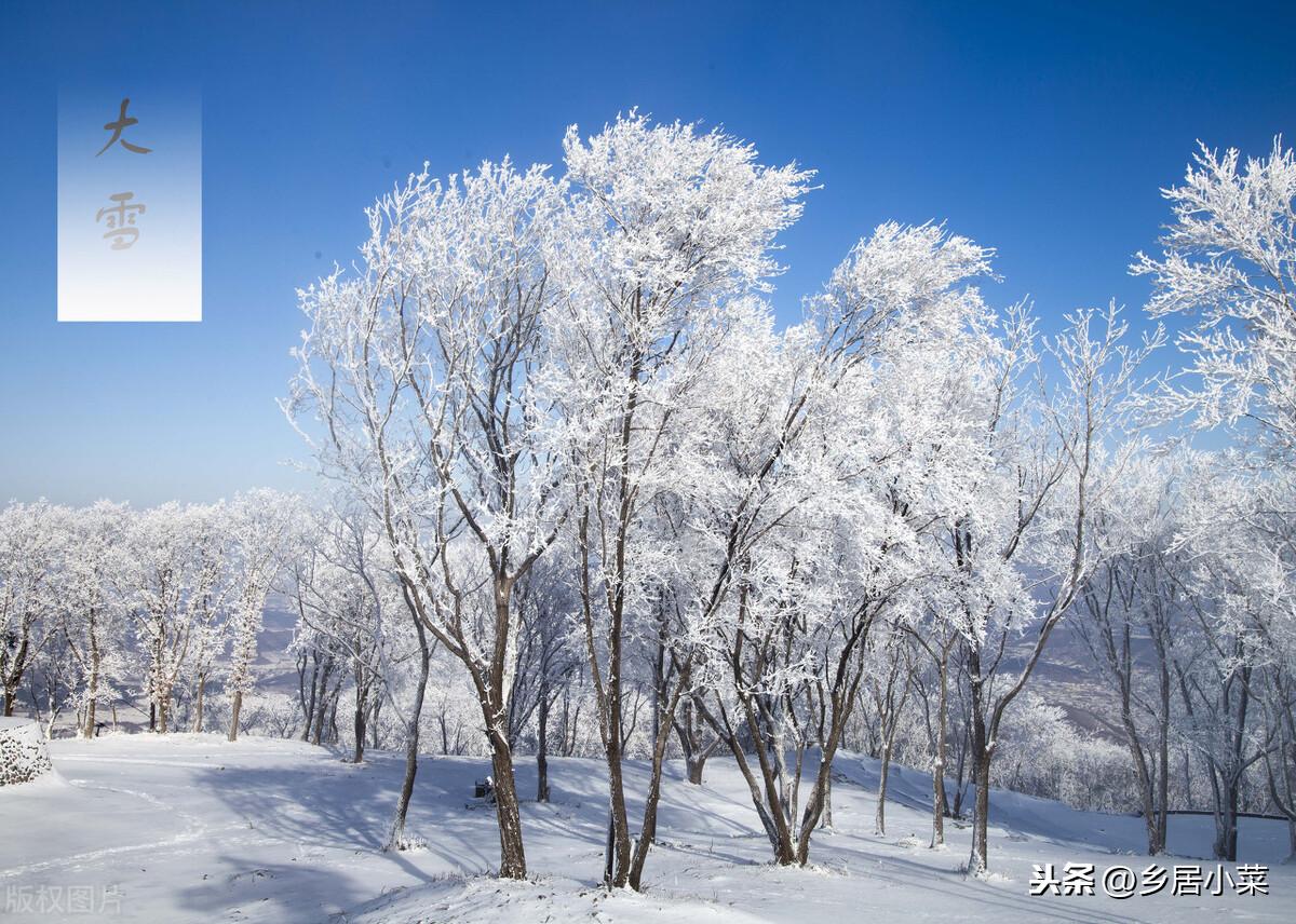 准备到大雪节气，降温变明显，露天蔬菜管理要跟上，来了解三方面