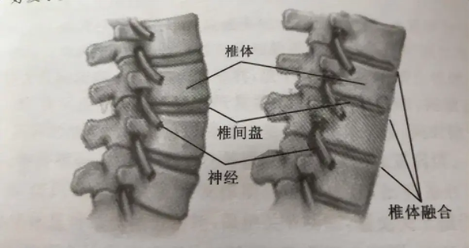 致富经养殖狗_致富项目养狗_养狗赚钱致富经