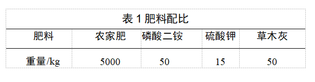 春白菜露天种植技术_露天白菜栽培技术_露天种植白菜每亩产量多少