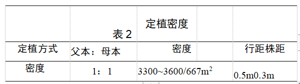 露天种植白菜每亩产量多少_春白菜露天种植技术_露天白菜栽培技术