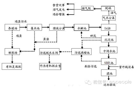 养殖水鸭子技术_鸭子养殖技术视频_鸭子养殖过程