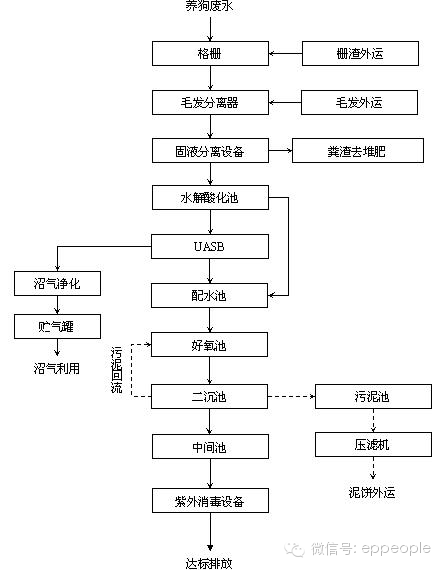 养殖水鸭子技术_鸭子养殖过程_鸭子养殖技术视频