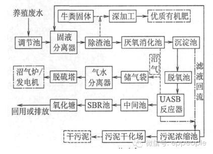 鸭子养殖过程_养殖水鸭子技术_鸭子养殖技术视频