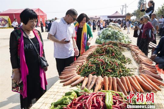 菊花 硒的添加 土地 cctv7致富经_致富菊花土地添加硒cctv7_富硒菊花宴怎么样