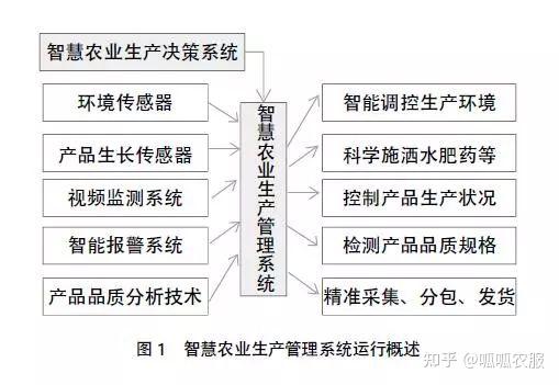 大棚种植改变什么条件_大棚种植技术有更新_大棚种植更新技术有哪几种