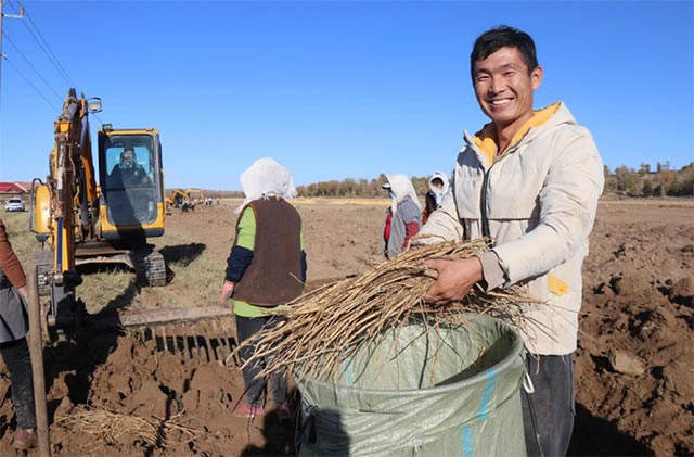 农民致富种植项目_农村致富项目种植业_农村集体种植致富