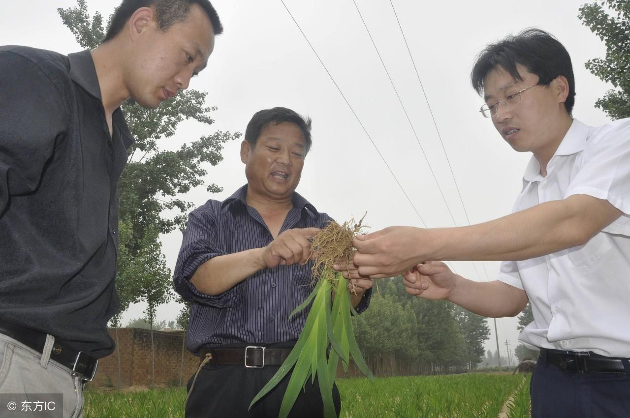 视频致富蝴蝶养殖_蝴蝶养殖要投资多少钱_蝴蝶养殖致富视频