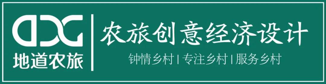 大棚栽下“致富苗”，奏响何村“振兴曲”！