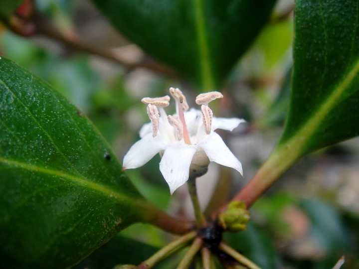 深海种植致富菜_深海蔬菜_海上种植