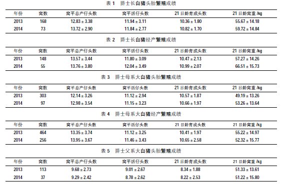 养猪致富技术_猪养殖致富案例_致富经猪养殖